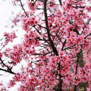 Meet your Posher, Katherin